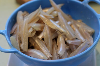cá bống trắng kho nước dừa bếp điện từ 1
